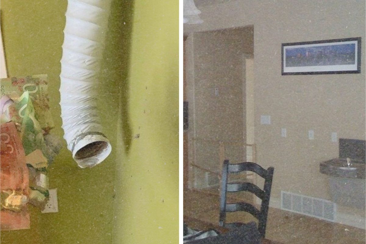 Uncovering Hidden Surprises: Times People Discovered Unexpected Finds in Their Homes